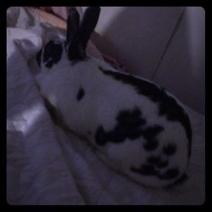 Selling some Victoria secret American eagle soon